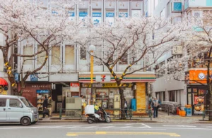 도쿄 여행
